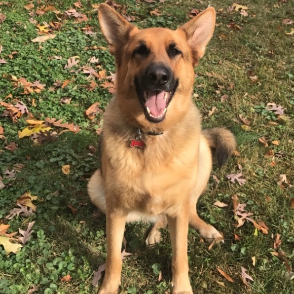 Make your offer ❤️ - Picture 2 of 4